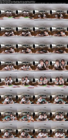 DSVR-2012-A_s.jpg