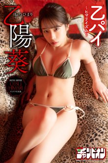 cover.jpg