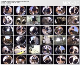 KSJ-001 [50m15s 640x480 H.264+AAC].mp4_thumbs_[2015.06.02_04.59.07].jpg