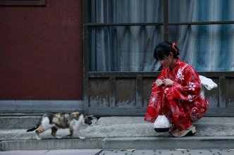 Risa Yoshiki-cat and kimono.jpg
