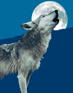 animated-wolf-image-0005.gif