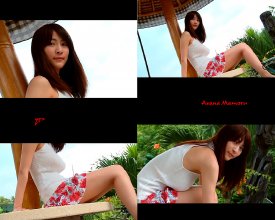 ZFX_asamam090.jpg