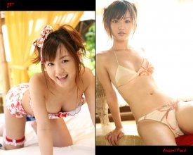 ZFX_astani064.jpg