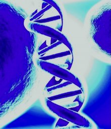 dna1.jpg