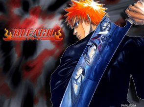 Kawapaper_Bleach_0000006_1600x.jpg