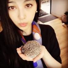 Saori-Hedgehog 26 April 2016.jpg