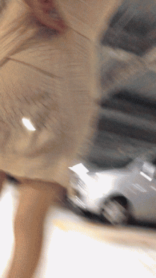 Bh83CXR2Zq.gif