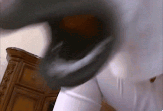 JAV___horse_masks_mp4.gif