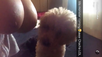 vlcsnap-2016-07-04-21h39m46s196.png
