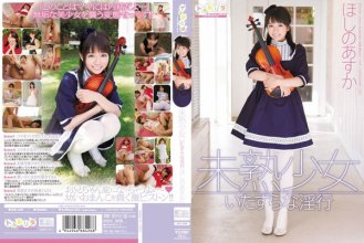 sps-049_poster.jpg