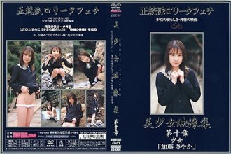 dbe-10_sayaka_katou_poster.jpg