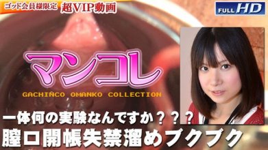 gachinco-gachig147_poster.jpg