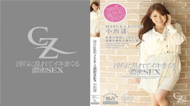 Heydouga 4169-PPV013.jpg