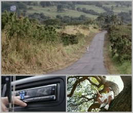 20161225.05.57 WATARU - Oshiete Kamisama (PV) (JPOP.ru).ts.jpg