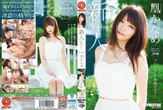 bgn-039_poster.jpg