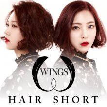 20170120.44.35 Wings - Hair Short cover.jpg