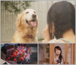 20170129.01.09 Kanae Ito - Metamerism (PV) (JPOP.ru).vob.jpg