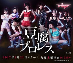 Tofu Pro Wrestling (2017) poster.jpg