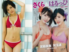 ZFX_haruppi150.jpg