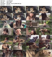 sora-004.mp4.jpg