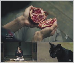 20170313.1308.7 Marie Ueda - Zakuro no Mi (PV) (JPOP.ru).ts.jpg