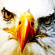 Eagle Eyed