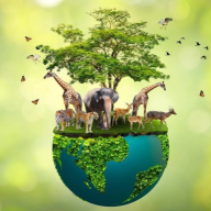 biodiversity