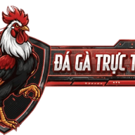 Dagatructiepthomollc